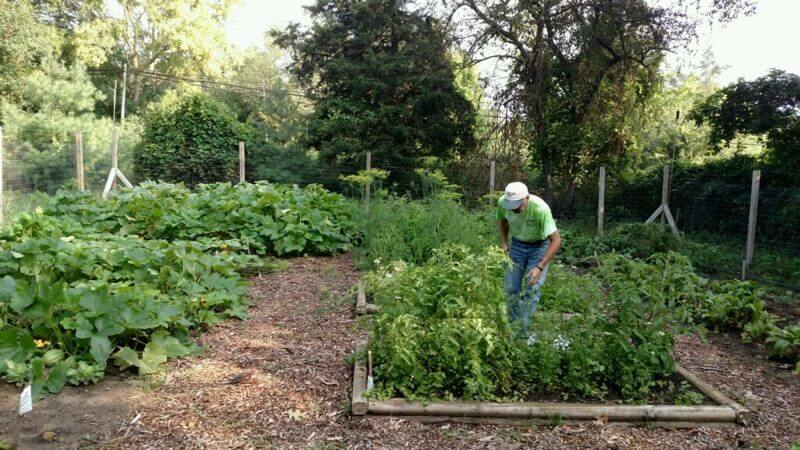 Seasonal Garden Pic